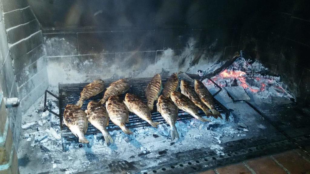 Tonci Tribalj